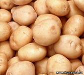 Старая Купавна - Уже в начале сентября картофель подорожал вдвое из-за неурожая