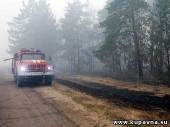 Старая Купавна - В Подмосковье потушены все лесные пожары