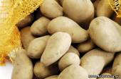 Старая Купавна - Почему в Москве может подорожать картофель?