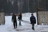 Старая Купавна - В Новой Купавне собираются уничтожить реликтовый лес для коммерческой застройки
