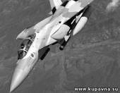 Старая Купавна - ВВС Израиля готовились сбить самолет с дирижером Гергиевым