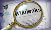 Старая Купавна - Блогер преждевременно опубликовал материалы Wikileaks