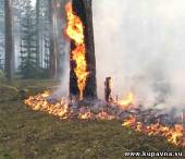 Старая Купавна - Бороться с огнем этим летом будут с помощью народных дружин