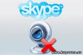 Старая Купавна - Skype обвинили, отключили и взломали
