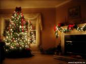 Старая Купавна - История рождественской елки
