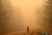 Старая Купавна - Будут ли лесные пожары в 2012 году в Московской области
