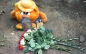 Старая Купавна - В Подмосковном Голицыно найден труп изнасилованной и убитой школьницы