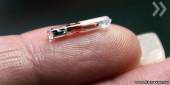 Старая Купавна - Началось: шведам ставят электронные чипы под кожу
