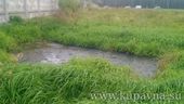 Старая Купавна - Последствия загрязнения почвы сточными водами устранили в Ногинском районе