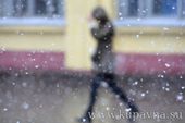 Старая Купавна - Спасатели предупреждают о сильном ветре с мокрым снегом в Подмосковье
