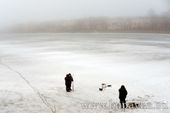 Старая Купавна - В Подмосковье могут ввести штрафы для рыбаков, выходящих на тонкий лед