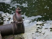 Старая Купавна - Жители Ногинского района пожаловались на загрязнение реки сточными водами