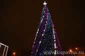 Старая Купавна - Главная новогодняя ёлка Старой Купавны стала участницей областной акции
