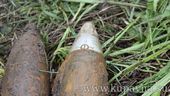 Старая Купавна - Два снаряда времен ВОВ и 16 гранат нашли в Подмосковье