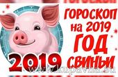 Старая Купавна - Какую Свинью подложит 2019-й год вашему знаку зодиака?