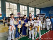 Старая Купавна - 20 апреля купавинские дзюдоисты приняли участие в 25 традиционном турнире 