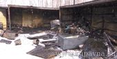 Старая Купавна - Пожар в приюте для безнадзорных животных