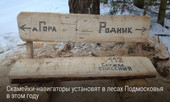 Старая Купавна - Скамейки-навигаторы установят в лесах Подмосковья в этом году