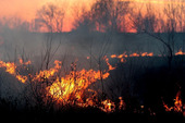 Старая Купавна - Пожарные полностью ликвидировали горение травы в Ногинске