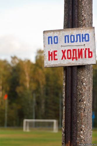 Старая Купавна