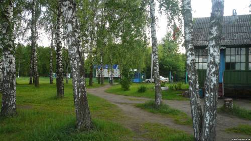 Старая Купавна