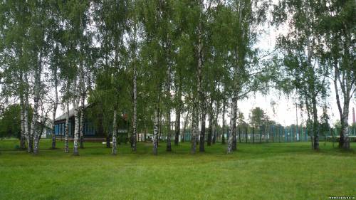 Старая Купавна