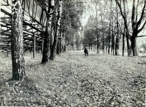 Старая Купавна