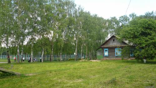 Старая Купавна