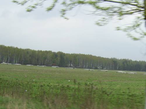 Старая Купавна