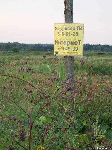 Старая Купавна