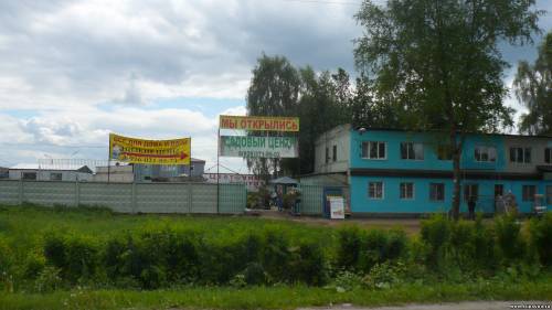 Старая Купавна