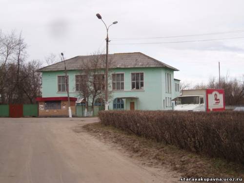 Старая Купавна