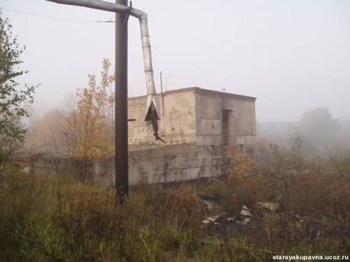 Старая Купавна
