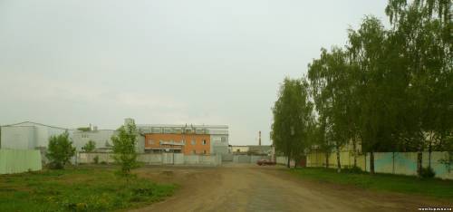 Старая Купавна
