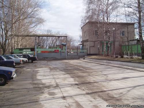Старая Купавна