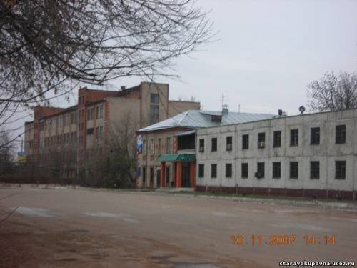 Старая Купавна