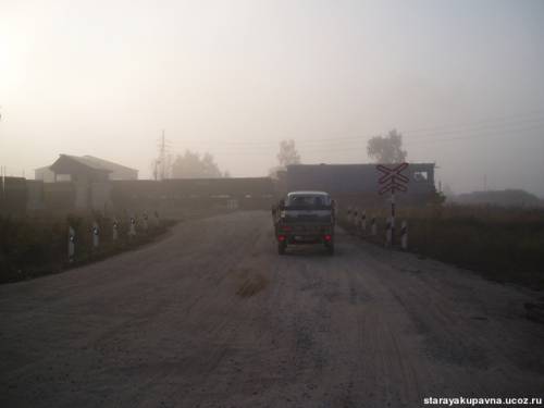Старая Купавна