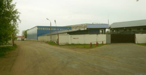 Старая Купавна