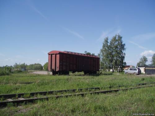 Старая Купавна