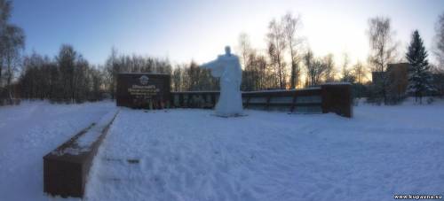 Старая Купавна