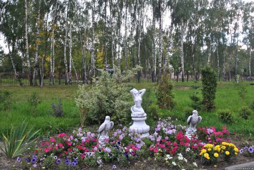 Старая Купавна