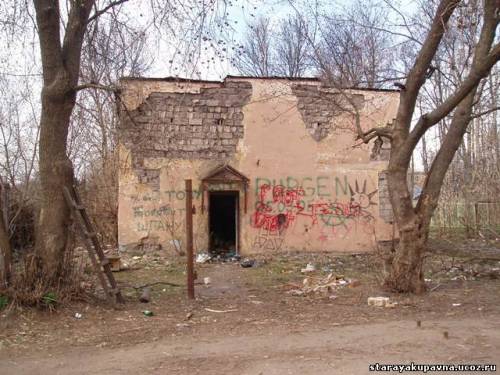 Старая Купавна