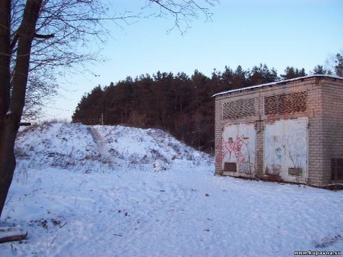 Старая Купавна