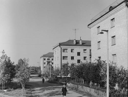 Старая Купавна