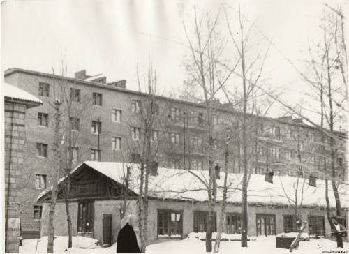 Старая Купавна