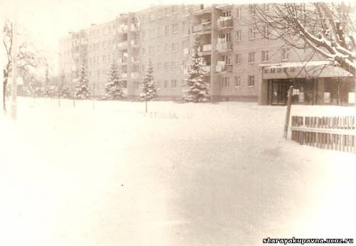 Старая Купавна