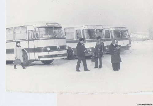Старая Купавна