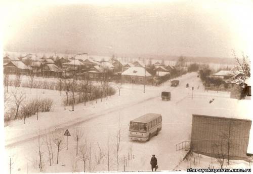 Старая Купавна