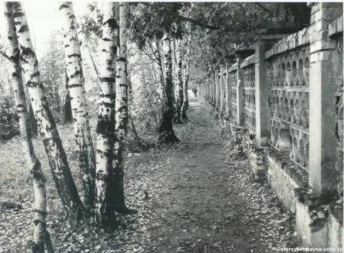 Старая Купавна