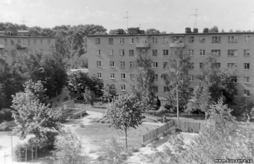 Старая Купавна